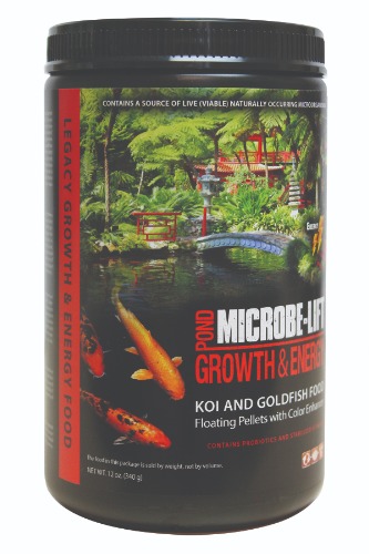 Growth and Energy Food