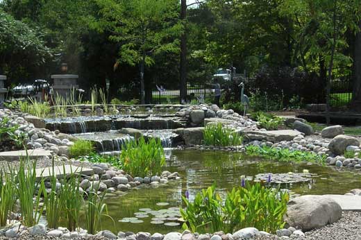We specialize in pond design & installation We specialize in pond design & installation